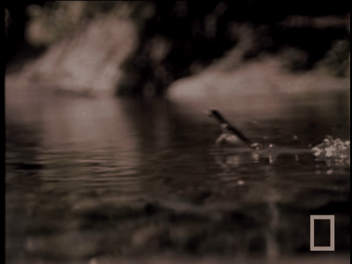 Eu quando chega a hora do almoço!