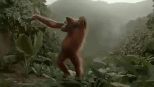 E mais uma Sexta-Feira!