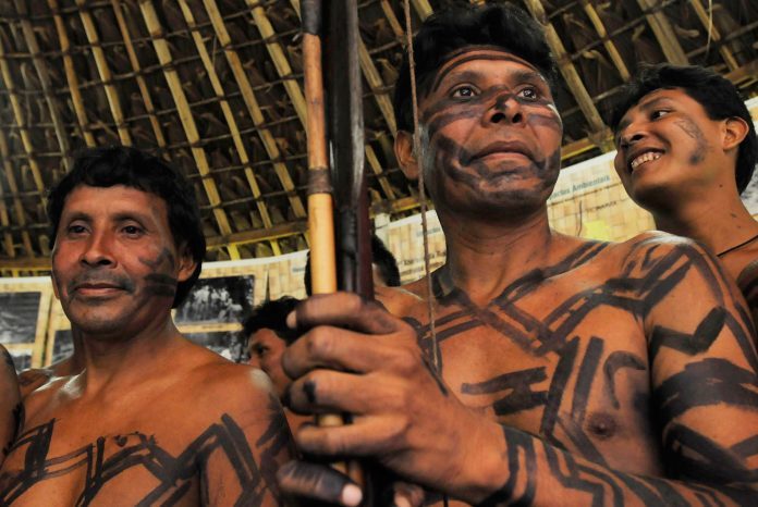 indigena-696x466
