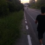 Mato alto