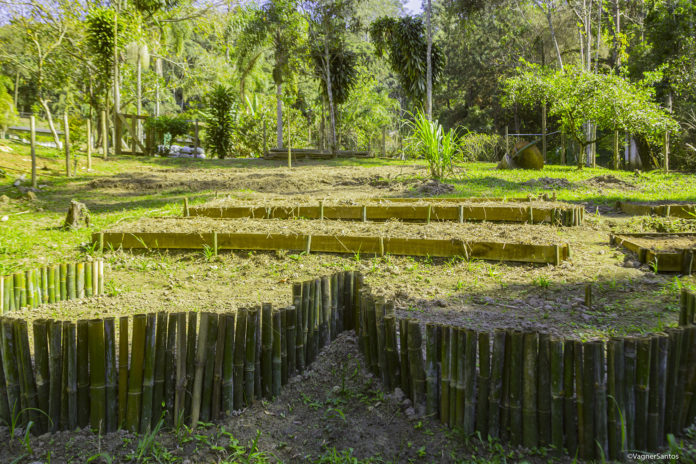 MG_4898-copiar