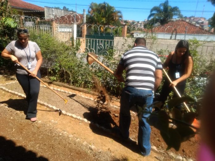 Horta Solidária Residência Terapêutica5