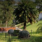 Parque do Instituto Butantan fecha a partir desta sexta-feira