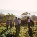 Startup leva tecnologia ao campo e garante renda aos pequenos produtores orgânicos no Brasil