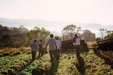 Pioneira na área, startup leva tecnologia ao campo e garante renda aos pequenos produtores orgânicos no Brasil