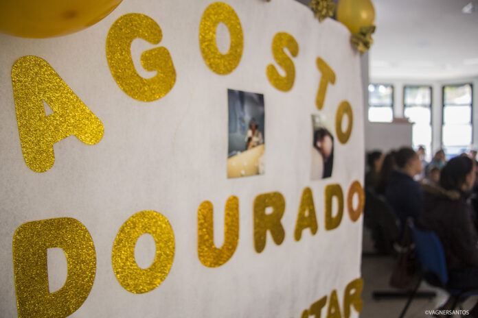 Agosto Dourado: 'Aleitamento Materno em Época de Covid' é tema de webinar