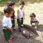Bosque das Letras: uma escola construída em meio à natureza