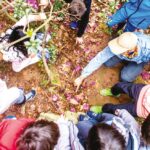 Colégio Waldorf Micael: a natureza como sala de aula