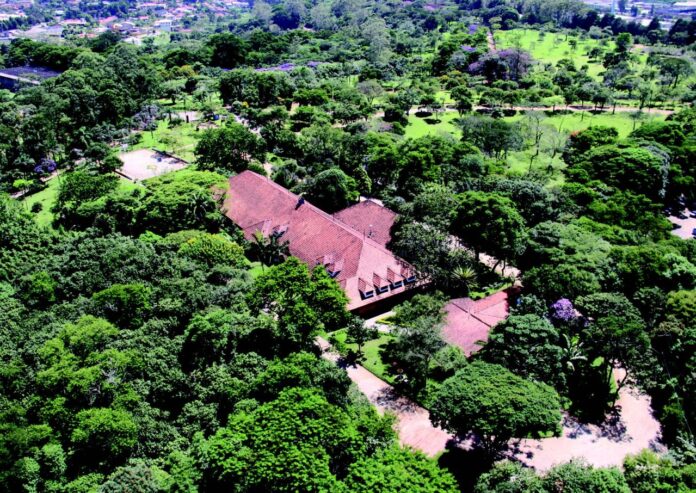 Parque Cemucam