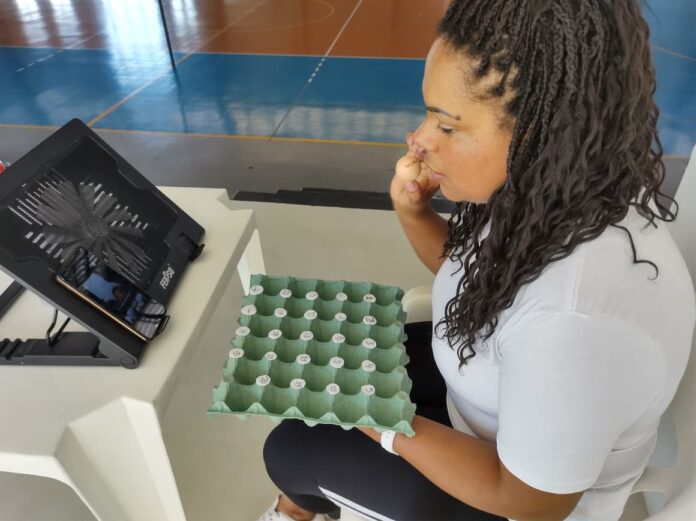 Cotia, em parceria com o Lar Criança Feliz, promove atendimento remoto durante a pandemia