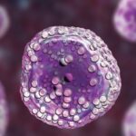 Região conta com exame que detecta doenças a partir da medula óssea