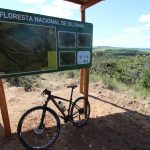 Passeio pela riqueza do cerrado