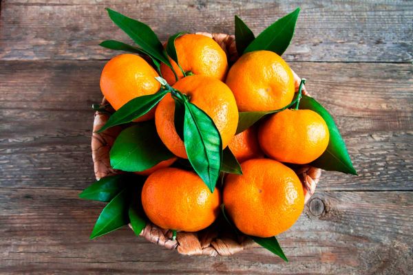 Safra do Mês: É época de tangerina, aproveite a deliciosa fruta fonte de vitamina C