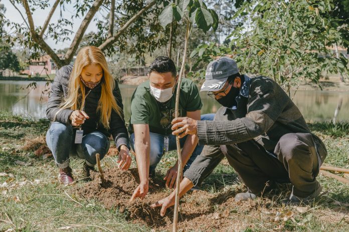 Diversos bairros recebem programa de arborização entre os dias 23 e 27 de agosto Foto Vagner Santos