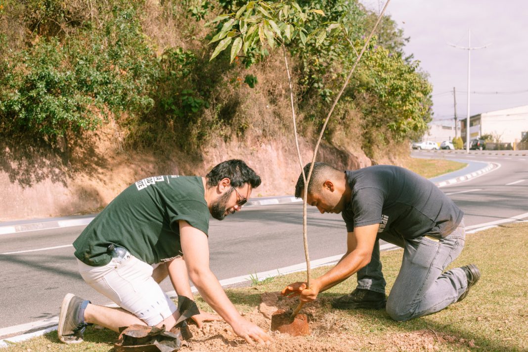 Cotia + Verde celebra ‘Dia da Floresta’ com plantio de Ipês na avenida Joaquim Barreto (2)