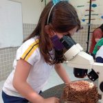 Escola Granja Viana: conectada com o mundo