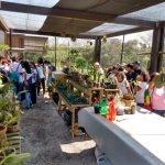 Parques da região tem atividades culturais e de lazer