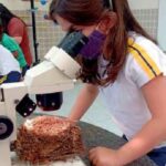 Escola Granja Viana: tradição em acolher, educar e formar cidadãos