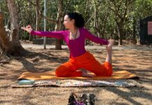 EcoFeira Granja Viana: domingo de bem-estar, cultura e consciência no Parque Teresa Maia