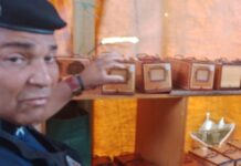 Crime ambiental: Guarda Civil de Cotia desmonta rinha de canários no bairro das Pitas