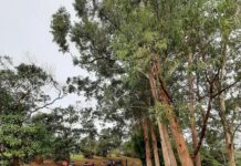 Cemucam celebra aniversário de 57 anos com trilhas pioneiras de mountain bike oficialmente homologadas