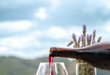 Sudeste: Do primeiro vinhedo ao novo mapa do vinho brasileiro