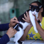 Zoonoses amplia perímetro de ação após caso de raiva em gata em Carapicuíba