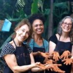 Coletivo Mãos de Barro celebra uma década de criação com exposição em Itapecerica da Serra