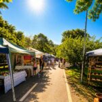 EcoFeira Granja Viana é programa completo de cultura e bem-estar para a família