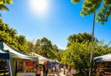 EcoFeira Granja Viana é programa completo de cultura e bem-estar para a família