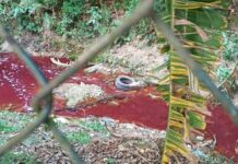 Fiscalização da Prefeitura de Cotia flagra crime ambiental e lacra fábrica clandestina na divisa com Embu das Artes