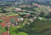 FEIAGRO de Cotia reúne agricultura, negócios, gastronomia e atrações nos dias 14 e 15