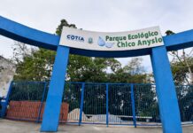 Parque Chico Anysio, de Cotia, será revitalizado e mudará de nome homenageando o ambientalista Chico Mendes