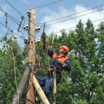 Poda de árvores próxima à rede elétrica pode causar mortes