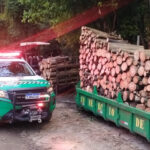 Guarda Ambiental de Cotia prende três por desmatamento no Aguassaí