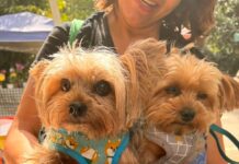Granja Viana celebra o Dia Mundial dos Animais com a 1ª CÃOminhada da Ecofeira no Parque Teresa Maia